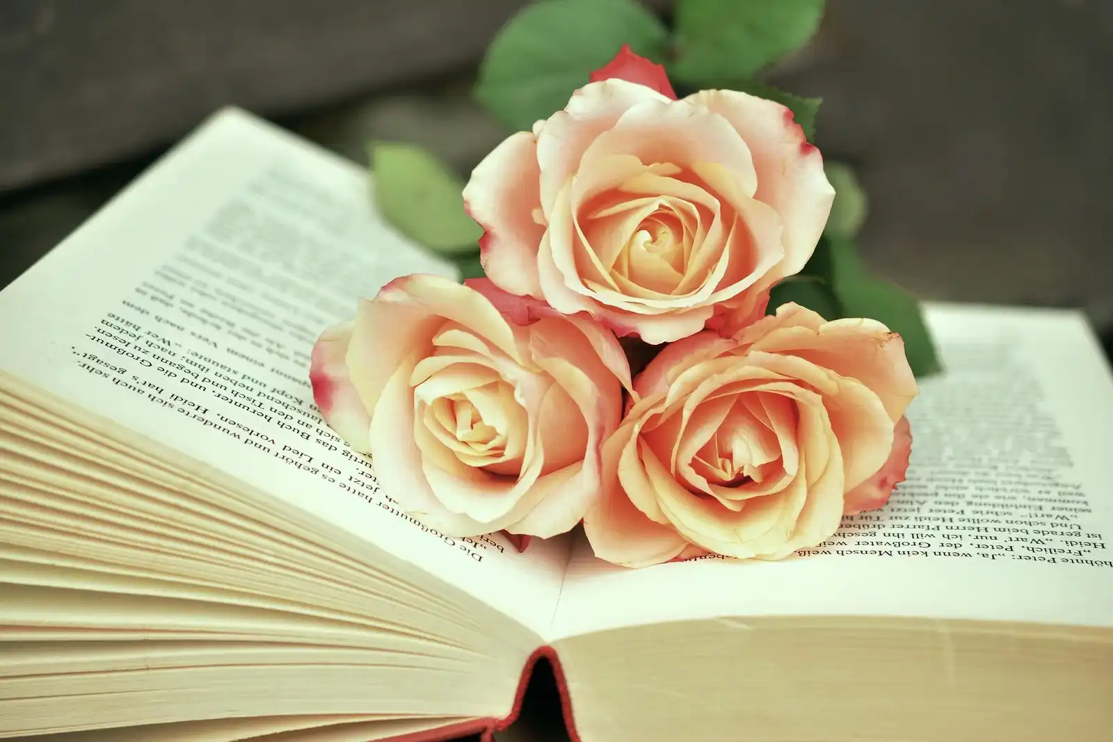 Book with flowers